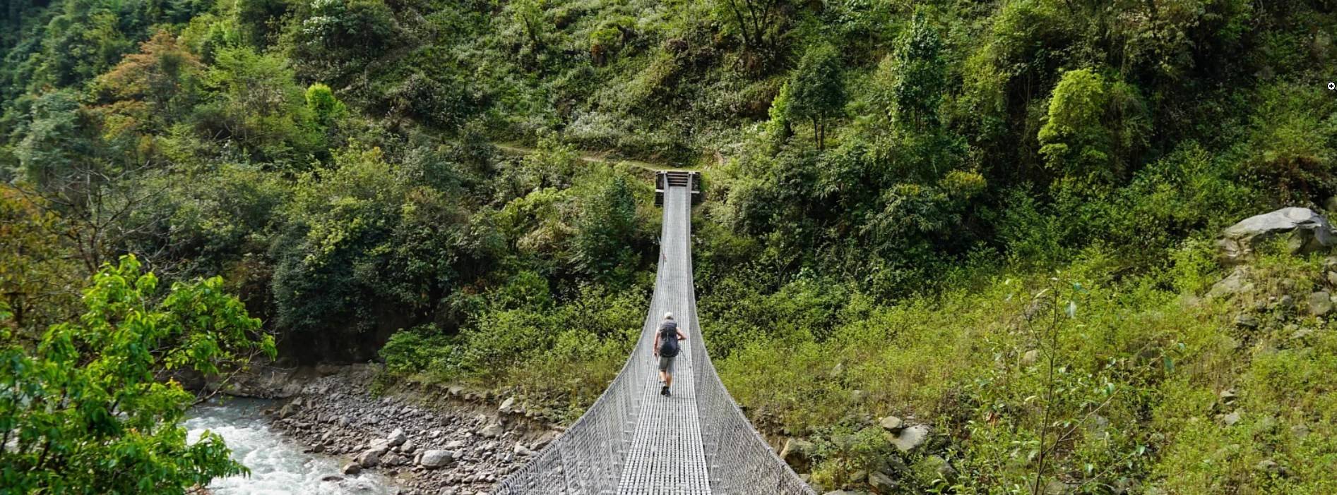 Турист переходить підвісний міст у горах серед зеленої природи