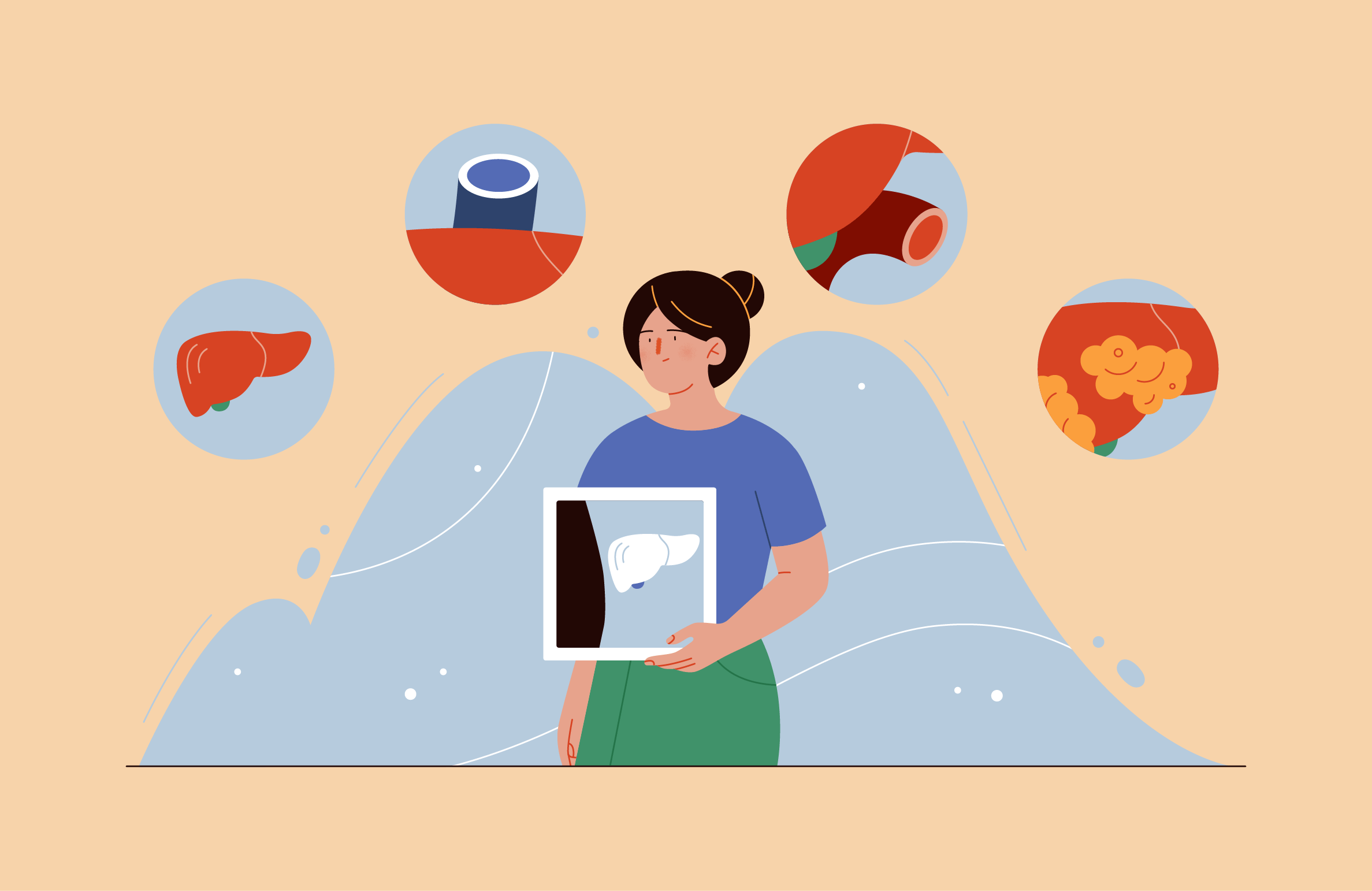 Обстеження печінки та внутрішніх органів, оцінка стану печінки за результатами аналізів і діагностики