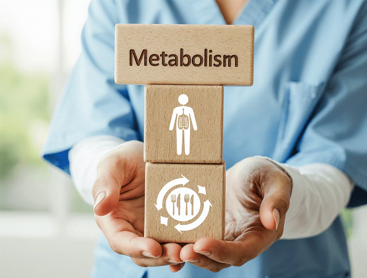 Медичний працівник у формі тримає дерев'яні бруски з написом “Metabolism” та піктограмами, що символізують роботу травної та обмінної системи.